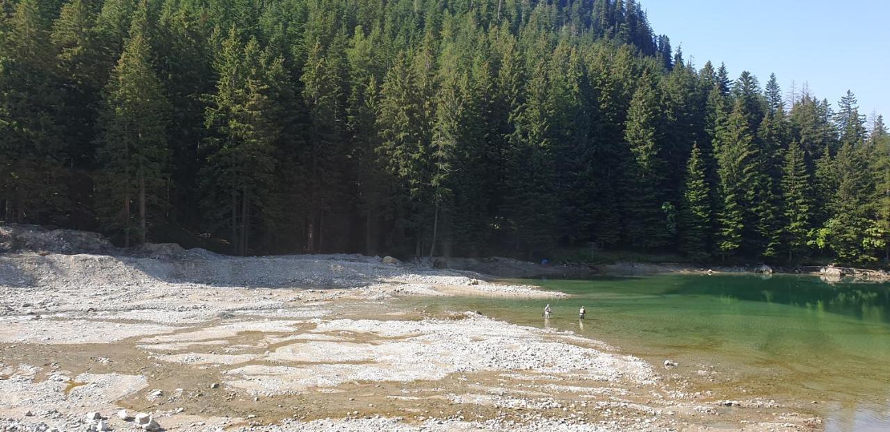 לינה וארוחת בוקר Saint-Martin-Vésubie Grand Chalet Du Boreon מראה חיצוני תמונה