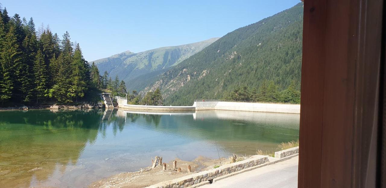 לינה וארוחת בוקר Saint-Martin-Vésubie Grand Chalet Du Boreon מראה חיצוני תמונה