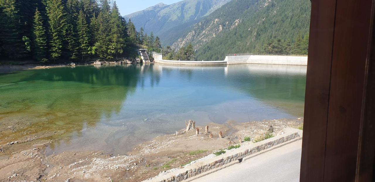 לינה וארוחת בוקר Saint-Martin-Vésubie Grand Chalet Du Boreon מראה חיצוני תמונה