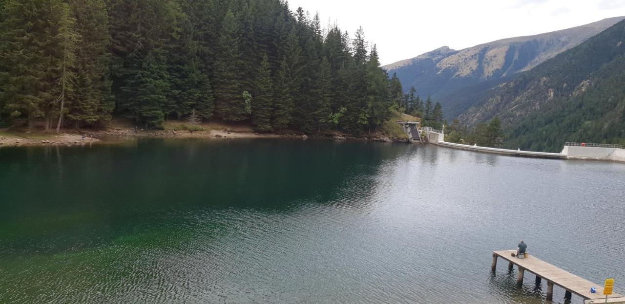 לינה וארוחת בוקר Saint-Martin-Vésubie Grand Chalet Du Boreon מראה חיצוני תמונה