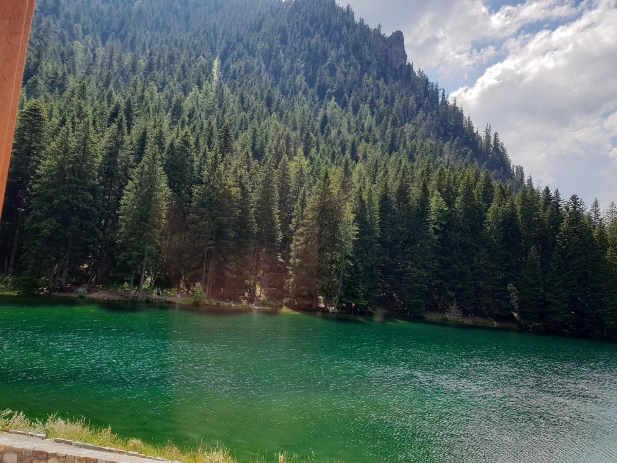 לינה וארוחת בוקר Saint-Martin-Vésubie Grand Chalet Du Boreon מראה חיצוני תמונה